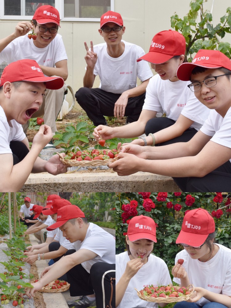 图三 摘草莓，放飞青春.jpg